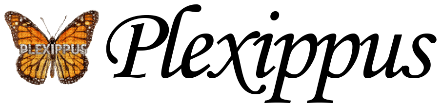 Plexippus