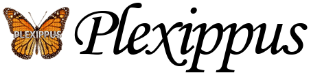 Plexippus